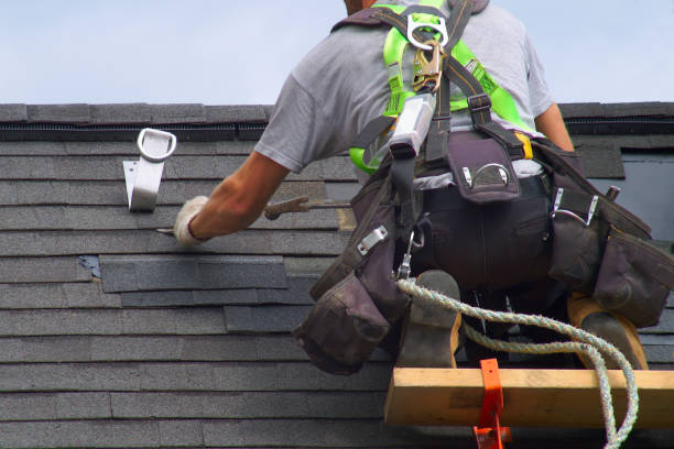 Best Storm Damage Roof Repair  in Williamsport, PA