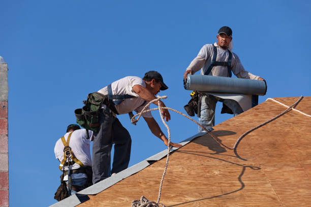 Best Commercial Roofing Services  in Williamsport, PA