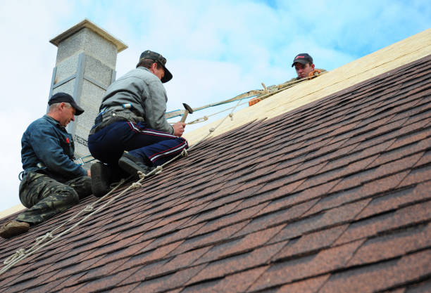 Best Commercial Roofing Services  in Williamsport, PA