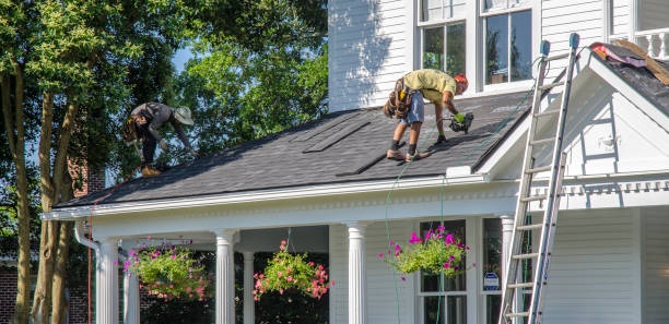 Best Flat Roof Repair Services  in Williamsport, PA